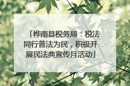 桦南县税务局：税法同行普法为民，积极开展民法典宣传月活动