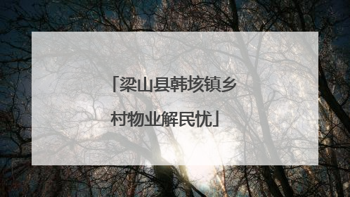 梁山县韩垓镇乡村物业解民忧