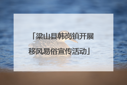 梁山县韩岗镇开展移风易俗宣传活动