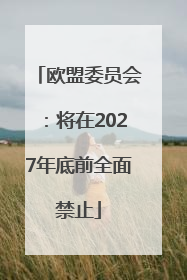 欧盟委员会：将在2027年底前全面禁止