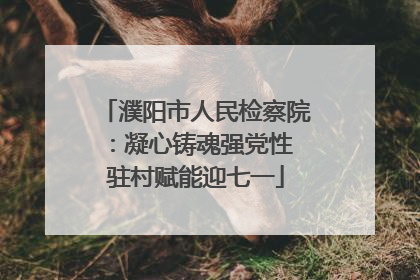 濮阳市人民检察院：凝心铸魂强党性 驻村赋能迎七一