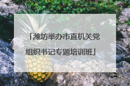 潍坊举办市直机关党组织书记专题培训班