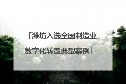 潍坊入选全国制造业数字化转型典型案例