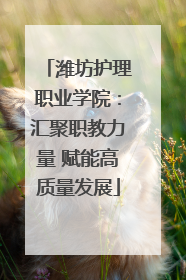 潍坊护理职业学院：汇聚职教力量 赋能高质量发展