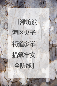 潍坊滨海区央子街道多举措筑牢安全防线