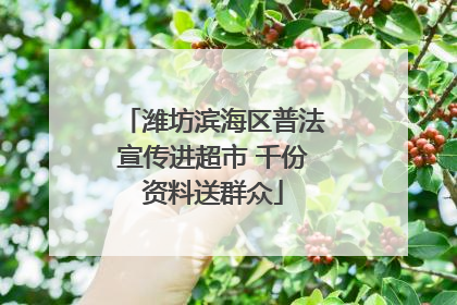 潍坊滨海区普法宣传进超市 千份资料送群众