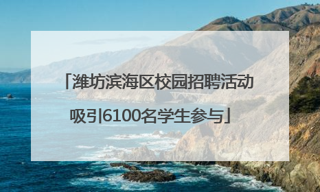 潍坊滨海区校园招聘活动吸引6100名学生参与
