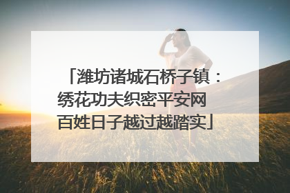 潍坊诸城石桥子镇：绣花功夫织密平安网 百姓日子越过越踏实