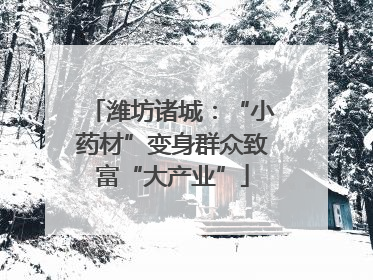 潍坊诸城：“小药材”变身群众致富“大产业”