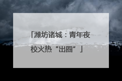 潍坊诸城：青年夜校火热“出圈”