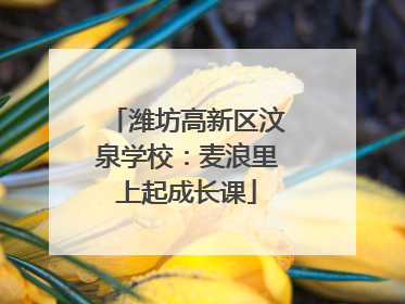 潍坊高新区汶泉学校：麦浪里上起成长课