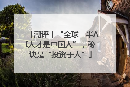 潮评丨“全球一半AI人才是中国人”，秘诀是“投资于人”