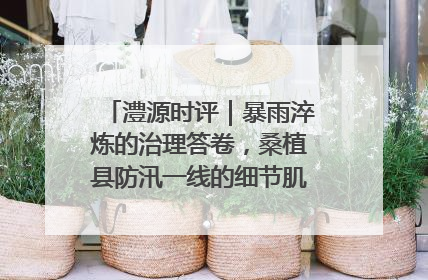 澧源时评｜暴雨淬炼的治理答卷，桑植县防汛一线的细节肌理与体系力量