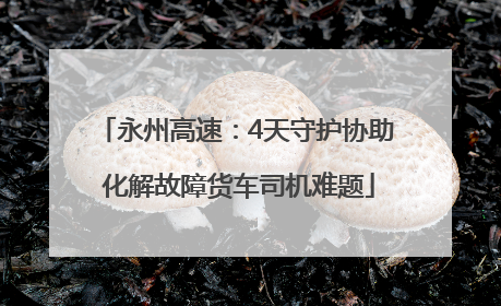 永州高速：4天守护协助 化解故障货车司机难题