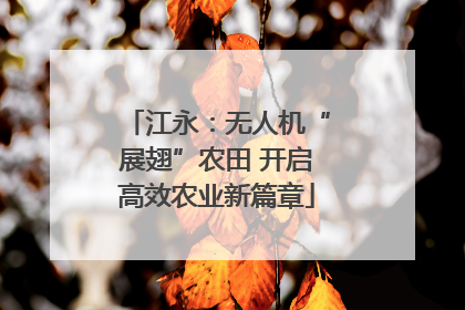 江永：无人机“展翅”农田 开启高效农业新篇章