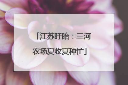 江苏盱眙：三河农场夏收夏种忙