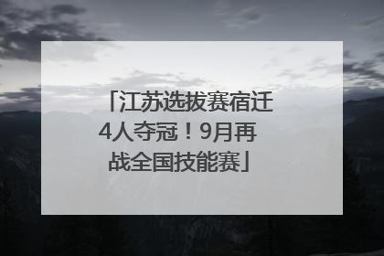 江苏选拔赛宿迁4人夺冠！9月再战全国技能赛