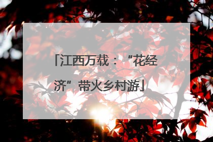 江西万载：“花经济”带火乡村游