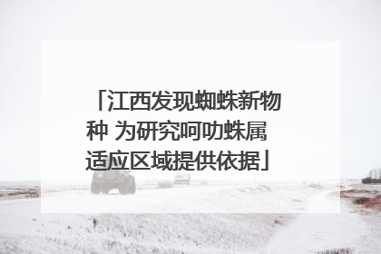 江西发现蜘蛛新物种 为研究呵叻蛛属适应区域提供依据