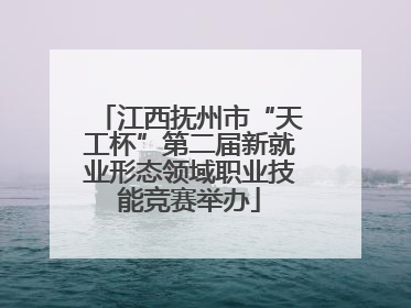 江西抚州市“天工杯”第二届新就业形态领域职业技能竞赛举办
