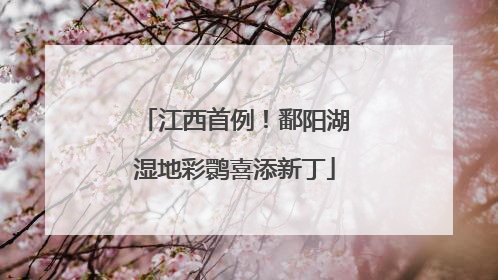 江西首例！鄱阳湖湿地彩鹮喜添新丁