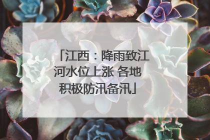 江西：降雨致江河水位上涨 各地积极防汛备汛