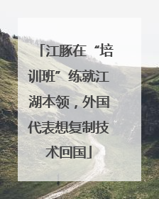 江豚在“培训班”练就江湖本领，外国代表想复制技术回国