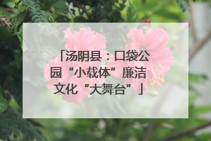 汤阴县：口袋公园“小载体”廉洁文化“大舞台”