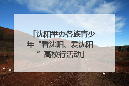 沈阳举办各族青少年“看沈阳、爱沈阳”高校行活动