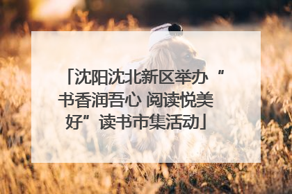 沈阳沈北新区举办“书香润吾心 阅读悦美好”读书市集活动