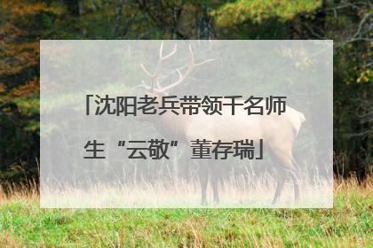 沈阳老兵带领千名师生“云敬”董存瑞