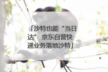 沙特也能“当日达” 京东自营快递业务落地沙特
