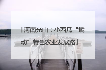 河南光山：小西瓜“撬动”特色农业发展路