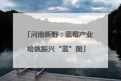 河南新野：蓝莓产业绘就振兴“蓝”图