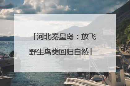 河北秦皇岛：放飞野生鸟类回归自然