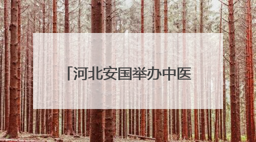 河北安国举办中医药养生主题市集
