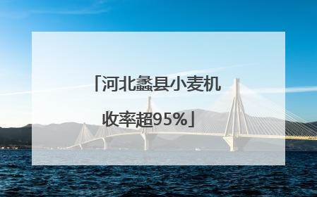 河北蠡县小麦机收率超95%