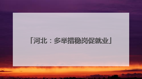 河北：多举措稳岗促就业