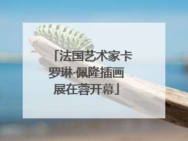 法国艺术家卡罗琳·佩隆插画展在蓉开幕
