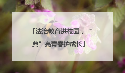 法治教育进校园，“典”亮青春护成长