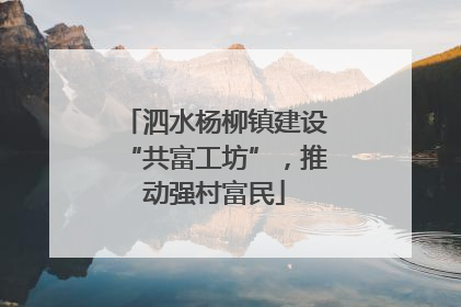 泗水杨柳镇建设“共富工坊”，推动强村富民