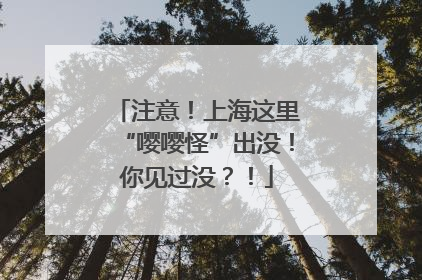 注意！上海这里“嘤嘤怪”出没！你见过没？！