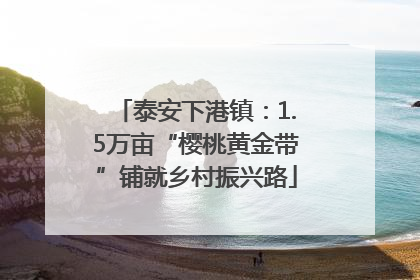 泰安下港镇：1.5万亩“樱桃黄金带”铺就乡村振兴路
