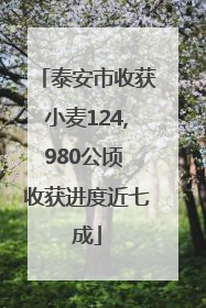 泰安市收获小麦124,980公顷 收获进度近七成