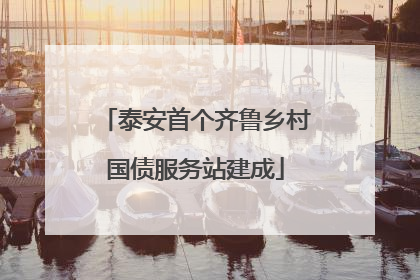 泰安首个齐鲁乡村国债服务站建成