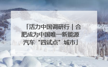 活力中国调研行｜合肥成为中国唯一新能源汽车“四试点”城市