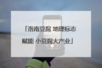 洛南豆腐 地理标志赋能 小豆腐大产业
