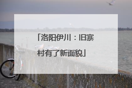 洛阳伊川：旧寨村有了新面貌
