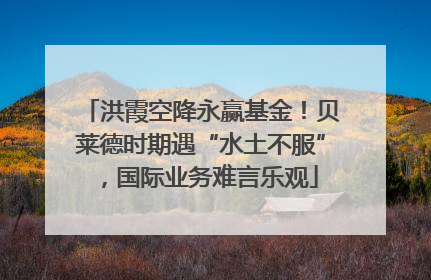洪霞空降永赢基金！贝莱德时期遇“水土不服”，国际业务难言乐观
