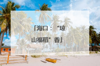 海口：“琼山福稻”香